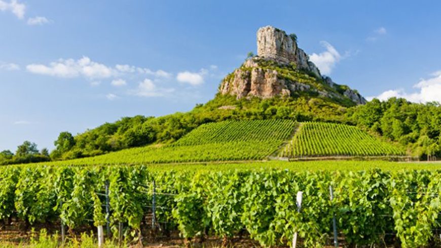 The rock of Solutré, coral reefs and exceptional Chardonnay